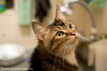 _MG_3183-2