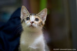 _MG_3193-2