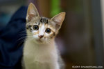 _MG_3197-2