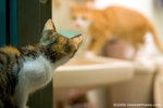 _MG_3221-2