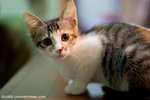 _MG_3223-2