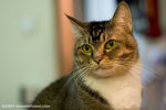 _MG_3241-2