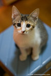 _MG_3322-2