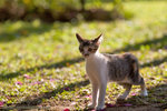 _MG_3404-2