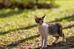 _MG_3405-2