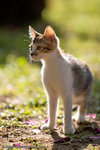 _MG_3412-2