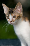 _MG_3414-2