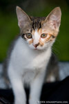 _MG_3417-2