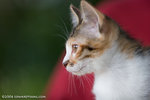 _MG_3425-2