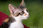 _MG_3427-2