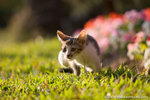 _MG_3457-2