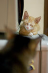 _MG_6557-2