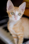 _MG_6687-2