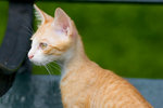 _MG_6691-2