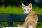 _MG_6692-2