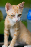 _MG_6693-2
