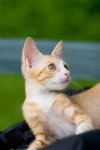 _MG_6699-2