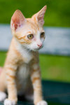 _MG_6700-2