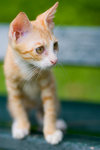 _MG_6705-2