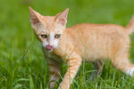_MG_6715-2