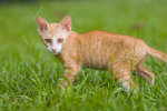 _MG_6721-2