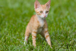 _MG_6737-2