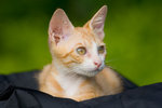 _MG_6744-2