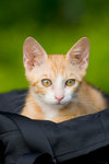 _MG_6750-2