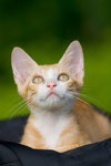 _MG_6751-2