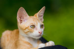 _MG_6756-2