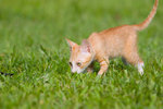 _MG_6758-2