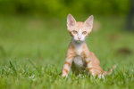 _MG_6759-2
