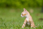 _MG_6760-2