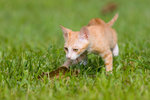 _MG_6766-2