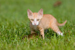 _MG_6771-2