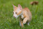 _MG_6776-2