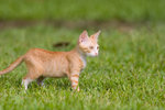 _MG_6779-2