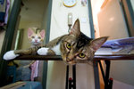 _MG_7592-2