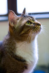 _MG_7611-2