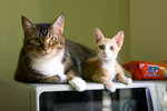 _MG_7668-2