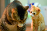 _MG_8627-2