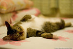 _MG_8941-2