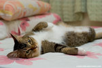 _MG_8943-2