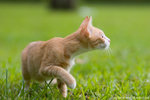 _MG_9087-2
