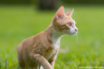 _MG_9088-2