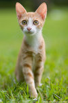 _MG_9100-2