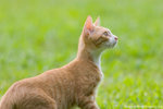 _MG_9103-2