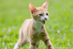 _MG_9104-2