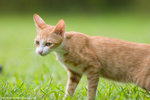 _MG_9107-2