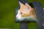 _MG_9123-2